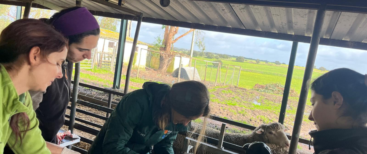 Estágio no Monte da Sancha